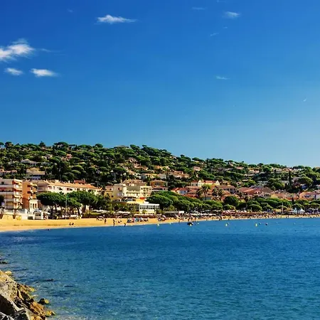 Appartement T2 : Jardin, Piscine, Parking A Sainte-Maxime Exterior foto